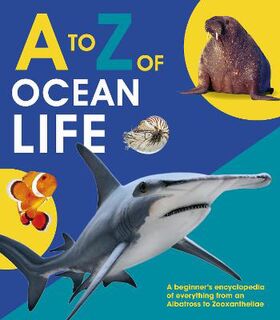 A-Z #: A to Z of Ocean Life
