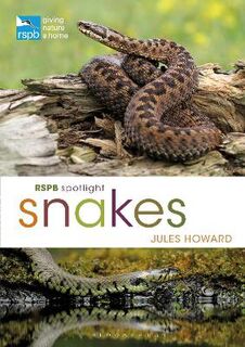 RSPB #: Spotlight Snakes