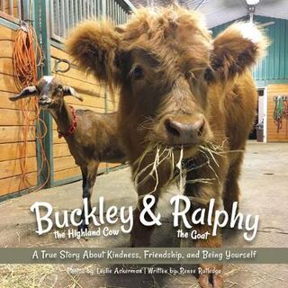 Buckley The Highland Cow And Ralphy The Goat