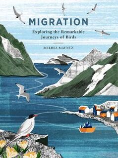 Migration: Exploring the Remarkable Journeys of Birds