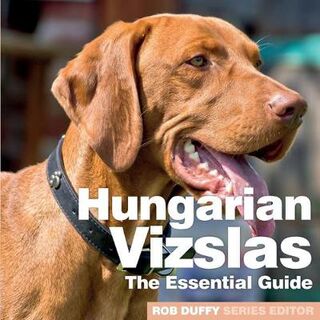Hungarian Vizslas