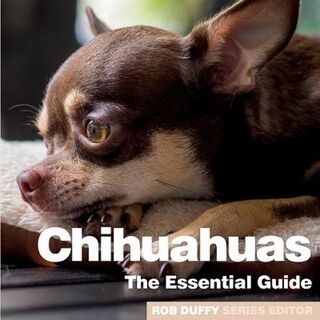 Chichuahuas