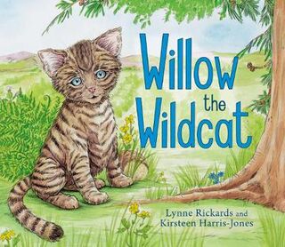 Picture Kelpies: Willow the Wildcat