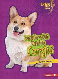 Who's a Good Dog?: Pembroke Welsh Corgis