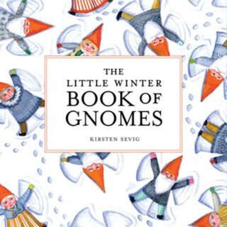 Little Winter Book of Gnomes, The