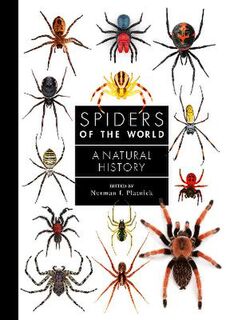 Spiders of the World: A Guide to Every Family