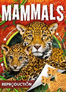 Reproduction: Mammals