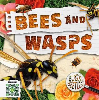 Bugs and Beetles #02: Bees and Wasps