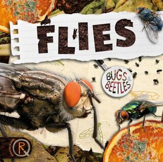 Bugs and Beetles #06: Flies