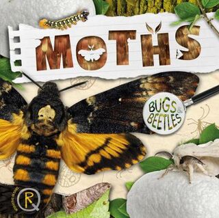 Bugs and Beetles #04: Moths
