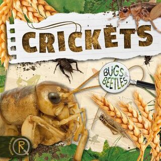 Bugs and Beetles #05: Crickets
