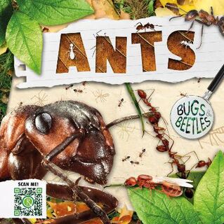 Bugs and Beetles #01: Ants