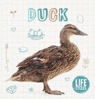 Life Cycles: Duck