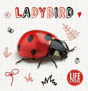 Life Cycles: Ladybird