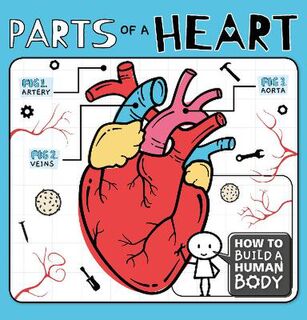 How to Build a Human Body: Parts of a Heart