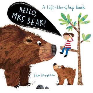 Hello Mr...: Hello, Mrs Bear! (Lift-the-Flap Board Book)