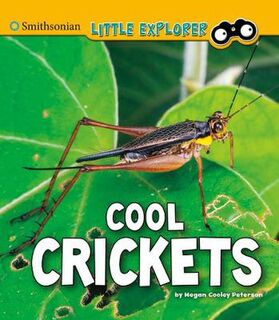 Little Entomologist 4D: Cool Crickets