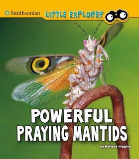 Little Entomologist 4D: Powerful Praying Mantids