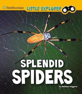 Little Entomologist 4D: Splendid Spiders