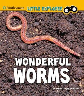Little Entomologist 4D: Wonderful Worms