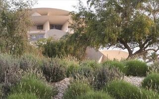 National Museum of Qatar: Museum Guide
