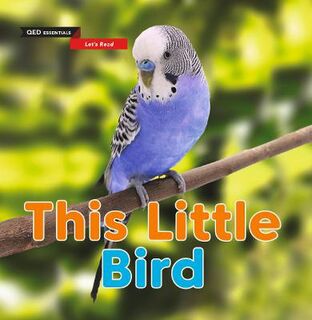QED Essentials: Let's Read: Birds