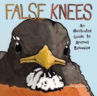 False Knees (Cartoons)
