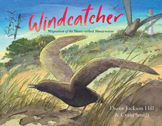 Windcatcher: Migration of the Short-tailed Shearwater
