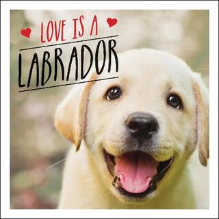 Love is Labrador: A Lab-Tastic Celebration of the World's Favourite Dog