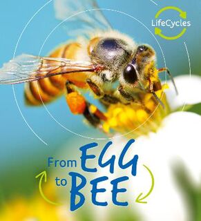 Life Cycles: Egg to Bee
