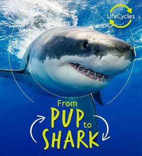 Life Cycles: Pup to Shark