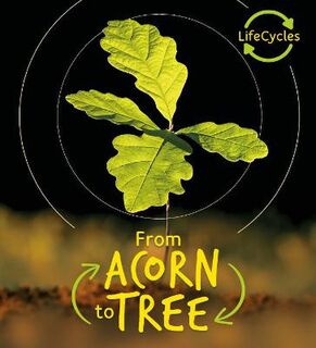 Life Cycles: Acorn to Tree