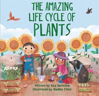 Look and Wonder: Amazing Plant Life Cycle Story, The