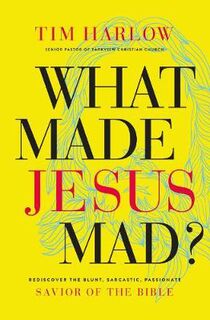 What Made Jesus Mad?: Rediscover The Blunt, Sarcastic, Passionate SaviorOf The Bible