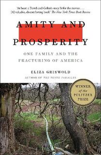 Amity and Prosperity: One Family and the Fracturing of America