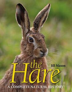 Hare, The