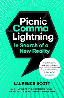 Picnic Comma Lightning: In Search of the New Reality