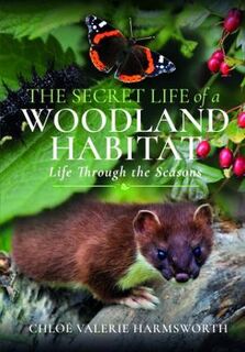 The Secret Life of a Woodland Habitat