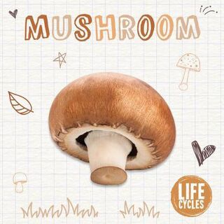 Life Cycles: Mushroom