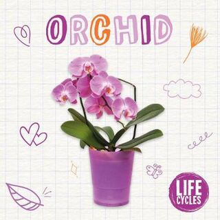 Life Cycles: Orchid