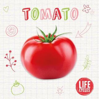 Life Cycles: Tomato