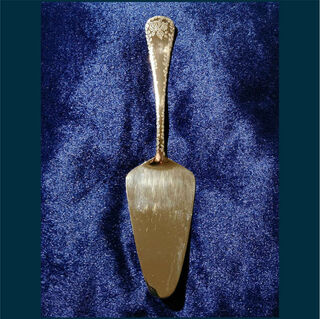 Stainless Steel Cake Server