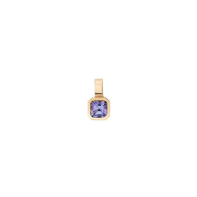 PETITE IRIS ASSCHER 14 - carat gold charm