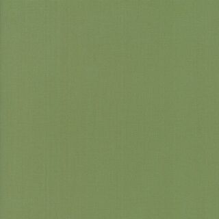 Prairie Green Bella Solids