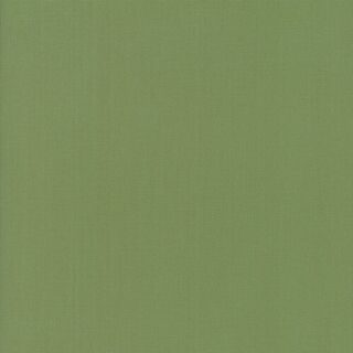 Prairie Green Bella Solids