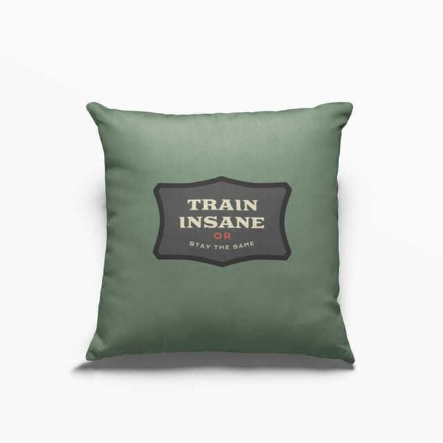 Train insane or stay the same cushion