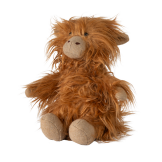 Little Mac the Highland Cow