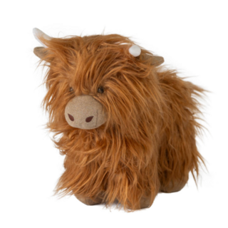 Mac the Highland Cow