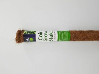 Coir Pole 90cm - Plant Accessories