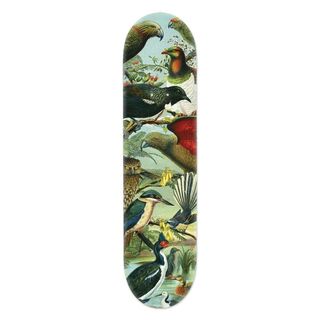 Native Birds of NZ Skateboard Deck